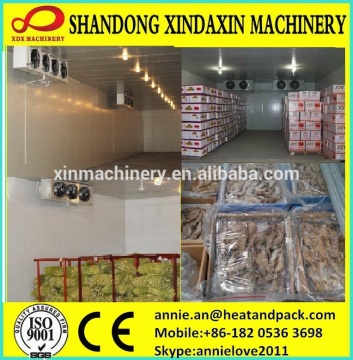China low cost fruit vegetable fish Cold storage