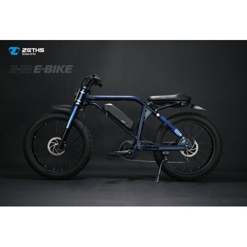 Powerful electric bike 48V 1000W ebike