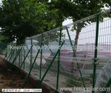 Pvc Coated/ Double Circles Fence 