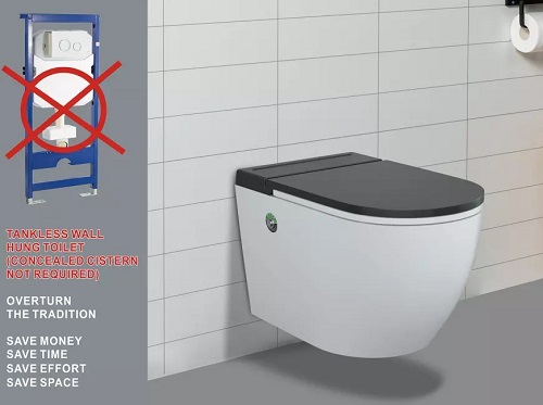 Tankless Intelligent Smart Toilet