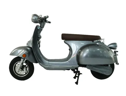 Comfort Plenty room selection electric scooter