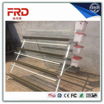 Trade assurance 100% payment guarantee factory price best sale chicken egg layer cages in south africa