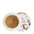 Estratto di orsio biologico in polvere di Poria cocos
