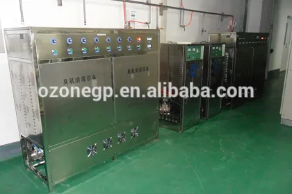 quality assurance 100G-5000G negative ion ozone generator