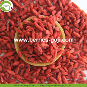 Bekalan Kilang Bekalan Hot Sale Himalayan Wolfberry