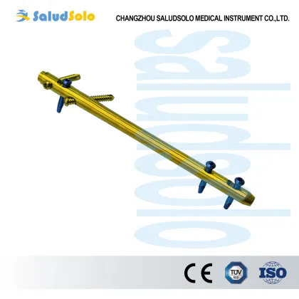 Hindfoot Fusion Ankle Nail