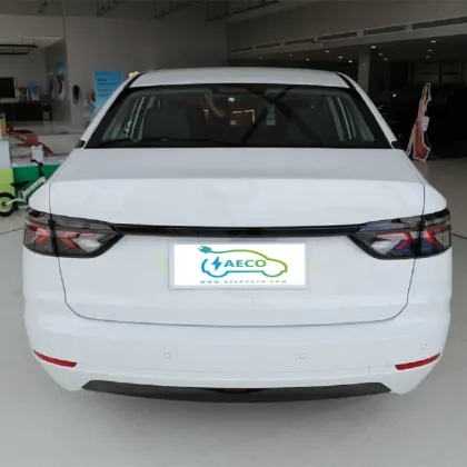 New Energy Vehicle 2024