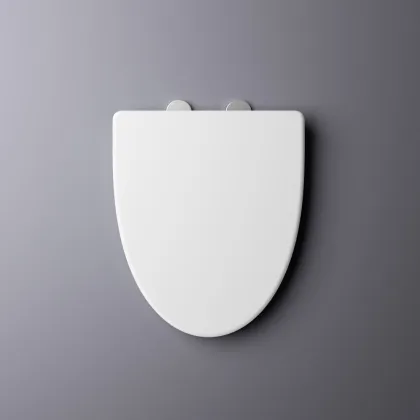 Roca Hall Toilet Seat with Bumper, Shower Hinge Cover & CE Certificate