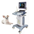 Carrinho de ultrassom Doppler colorido veterinário digital completo