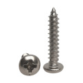 স্টেইনলেস স্টীল 304 ফিলিপ screws স্ব-টপিং স্ক্রু