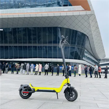 latest design 800w 2019 new oem odm customized electric smart electrico e-scooter e scooter