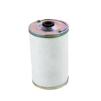 OEM Engine Fuel Filter 221046Z96 for Paccar Trucks