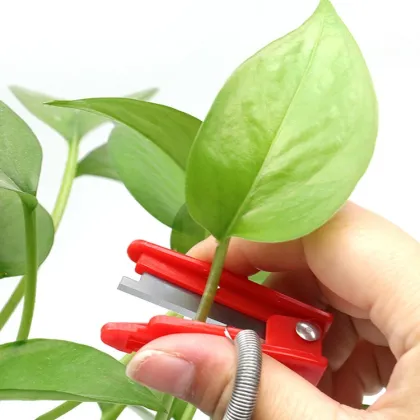 Orchard Fruit & Vegetable Gardening Tools: Knives, Thumb Pruners & Pick Cutters