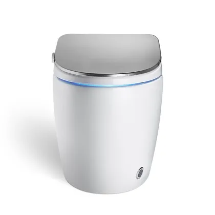 ARROW Brand Modern Smart Toilet with Electric Automatic WC