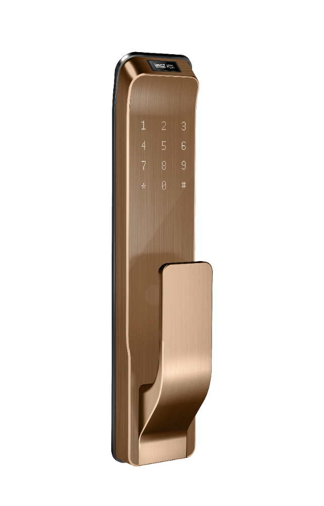 Gold - 1