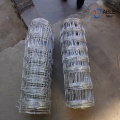Hot Dipped Galvanized Hinge Joint Field Fence