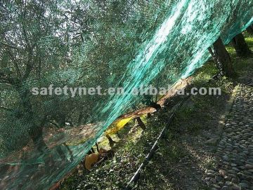 agriculture olive net, olive harvest net ,olive collecting net