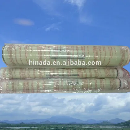 Filmtec BW30 RO Membrane 4040 Reverse Osmosis Membrane 8040 Brackish