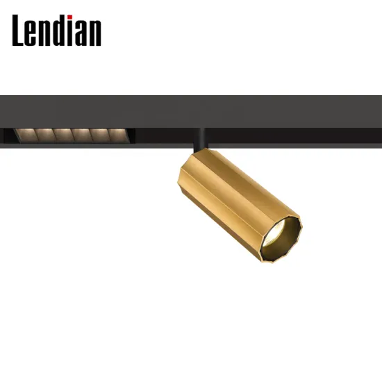 Zigbee Aluminum CRI95 48V LED 10W COB Track Light 3CCT Magnetic 1m Set for Australia