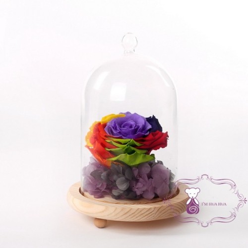 Real Touch Preserved Rainbow Rose Head For Best Women Gift, High