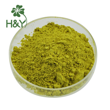 Quercetin sophora japonica extract quercetin powder capsule