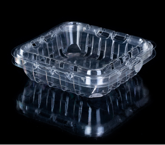 Disposable Clear Food Grade Plastic Fruit Packaging Box