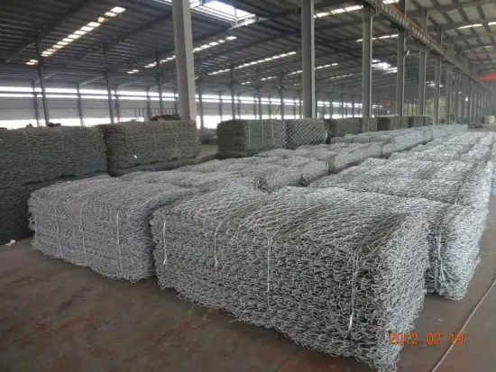 HEX PROTECTION WIRE MESH