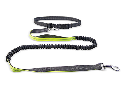 Hand Free Reflective Elastic Belt BELT Running Dog Leashes