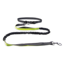 Hand Free Reflective Elastic Belt BELT Running Dog Leashes