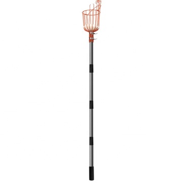 Telescopic Fruit Picker Pole for Cherries and Other Fruits