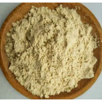 Organic Corn Peptide Powder for Muscle Recovery and Growth