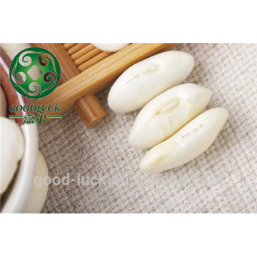 Chinese Yunnan Large White Kidney Beans,High Quality