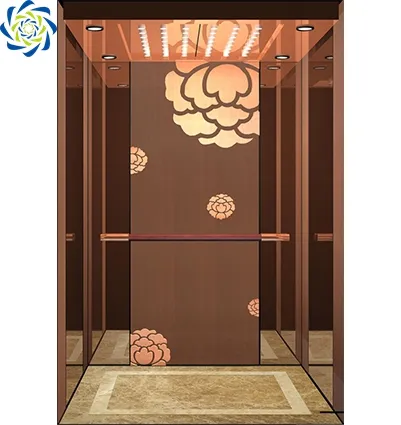 Fuji Brand 6-Person Small Residential Lift for Shopping Malls, Hotels, and Homes in China