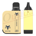 Hot Sale IQTE King 3000 Disposable Vape