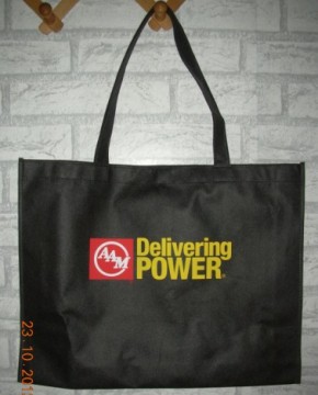 Widely Used Eco-Friendly Green Eco Friendly PP Nonwoven Bag