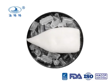 Zhoushan frozen squid tube