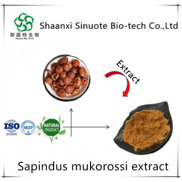 Barbed Skullcap Extract Baicalin 80% in Large Stock