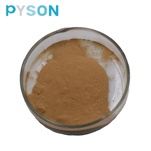 Gynostemma pentaphyllum Extract (Gypenoside 50% UV)