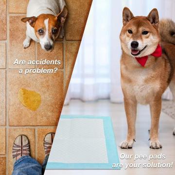 Almohadilla de entrenamiento de cachorros de alto absorbente desechable para perro