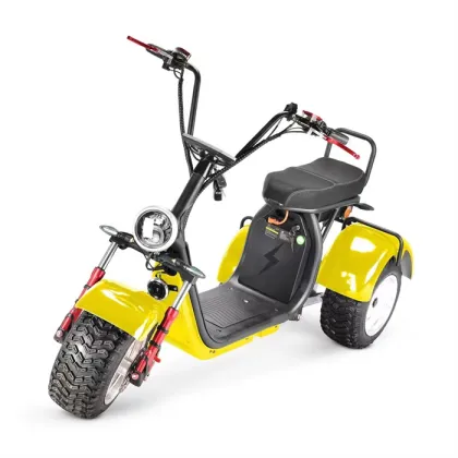 Sunra Electric Express Tricycle: Professional Manufacturer's 4000W Recreational Electric Tricycle