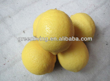 citrus fruit lemon