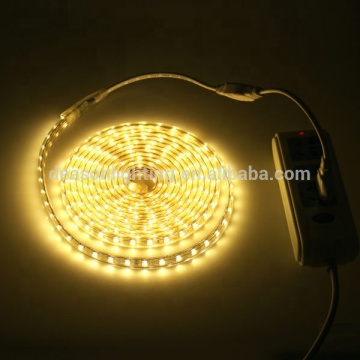 100m LED Strip Lights: Brightness, Waterproof & Buying Guide