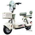 Electric Motorcycle Fashionable Model I Flower Fairy