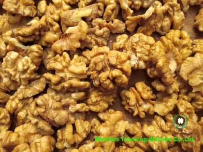 Sweet and Crispy Chinese Walnut kernels light amber