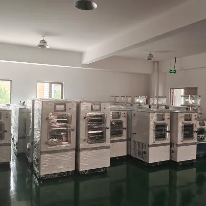 Small Harvest Right Freeze Dryer Price for Candy and Fruit