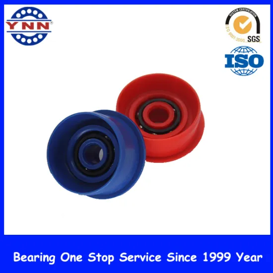 Most Popular and Best Price Plastic Deep Groove Ball Bearing (usually)