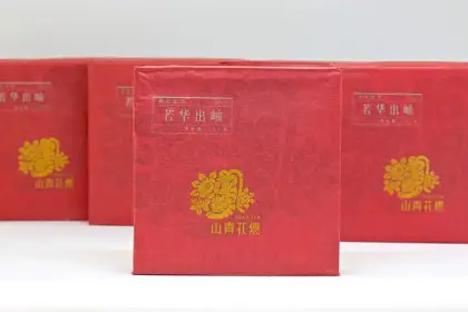 Ruohua Chuxiu 12-Year Aged Ripe Pu'er Tea 250g | Premium Fermented Tea from Naka Mountain with Wild Forest Fragrance