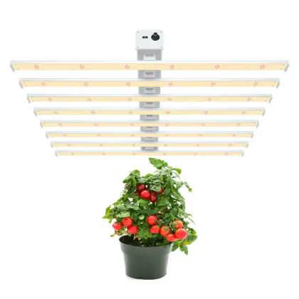 Best Cheap Grow Lights For House Plants