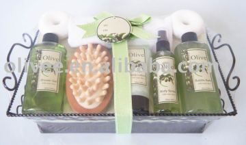 Bath gift set(body lotion,shower gel, bubble bath,body spray,bath fizzer)