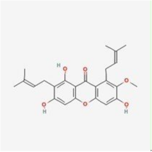 fruit extract powder Mangosteen Extract